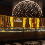 Luculus gelato gallery